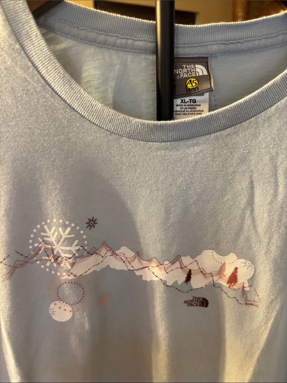 The North Face Pale Blue Mountain Graphic Tee